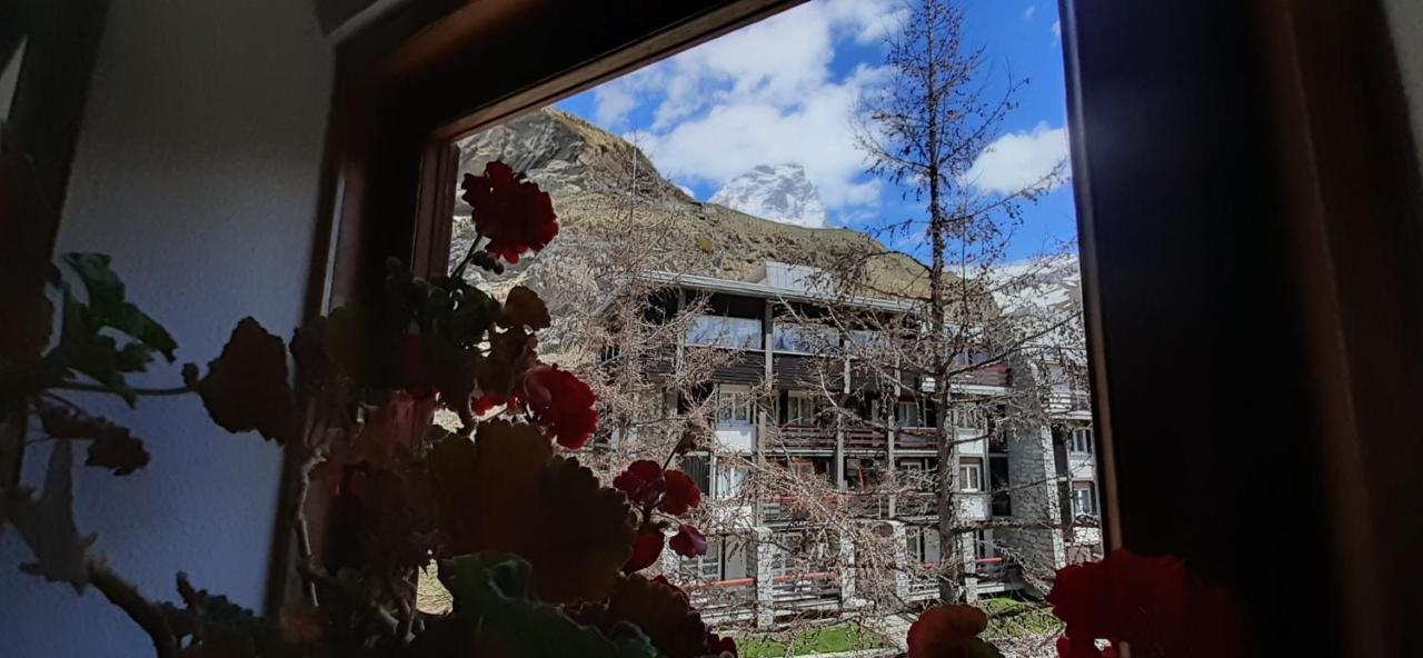 Matterhorn Studio Cervinia بيريوِل تْشيرفينيا المظهر الخارجي الصورة